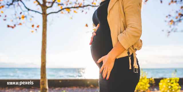 胚胎实验室养囊技术探究